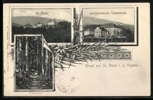 AK St. Anna, Waldpartie, Wallfahrtskirche Thierenbach, Gesamtansicht