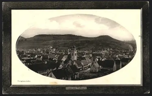 Präge-AK Thailfingen / Balingen, Ortsansicht mit Umgebung