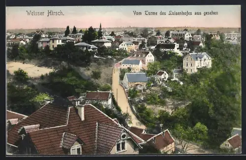 AK Weisser Hirsch, Vom Turme des Luisenhofes aus gesehen