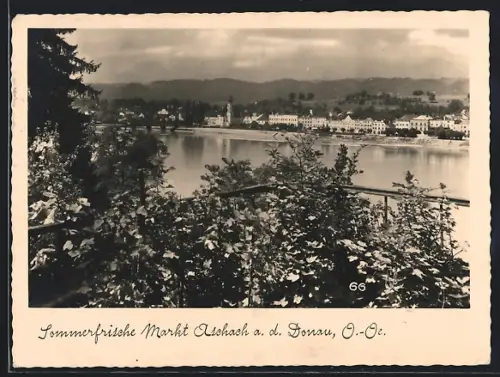 AK Aschach a. d. Donau, Uferpartie mit Bäumen