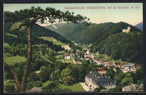 AK Gutenstein, Ortsansicht aus der Vogelschau