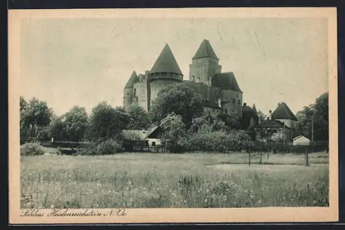 AK Heidenreichstein /N.-Oe., Schloss Heidenreichstein