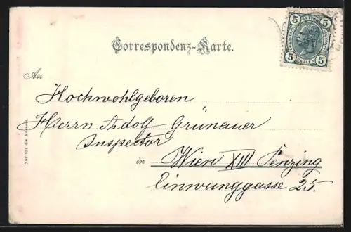 AK Weissensee i. Kärnten, Panorama von der Urschitzhöhe