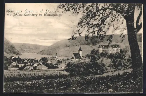 AK Grein a. d. Donau, Teilansicht mit Schloss Greinburg im Hintergrund