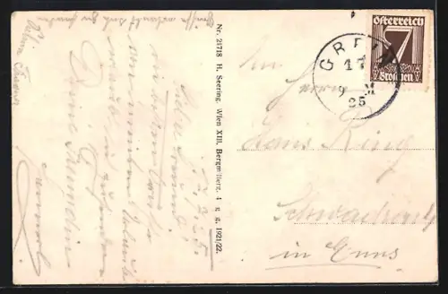 AK Grein a. d. Donau, Teilansicht mit Schloss Greinburg im Hintergrund