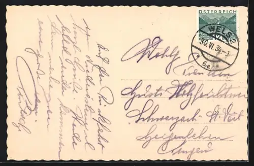 AK Wels /Ob. Oe., Teilansicht vom Puchberg mit Pyhrgas-Sengsengebirge und Warscheneck