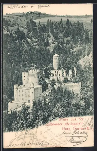 AK Weinzierl, Burg Hartensein mit Wald aus der Vogelschau