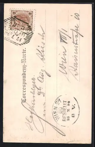 AK Weinzierl, Burg Hartensein mit Wald aus der Vogelschau