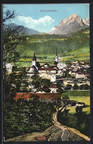 AK Bischofshofen, Panorama