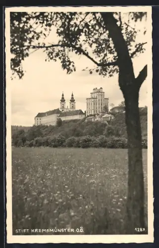 AK Kremsmünster /O. Ö., Stift mit Blumenwiese