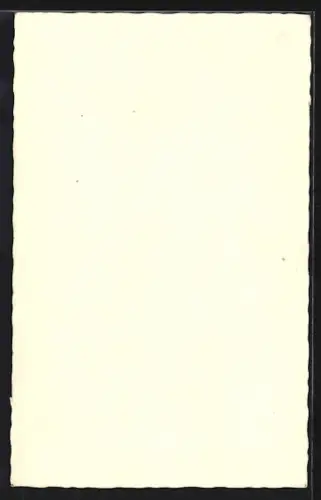 AK Kremsmünster /O. Ö., Stift mit Blumenwiese