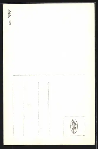 AK Linz a. D., Stift St. Florian