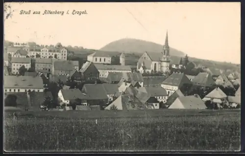 AK Altenberg / Erzg., Blick über die Ortschaft