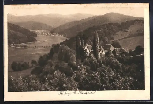 AK Freiburg / Breisgau, Panorama mit Bäumen