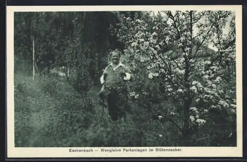 AK Eschenbach / Fränk. Schweiz, Wengleins Parkanlagen im Blütenzauber