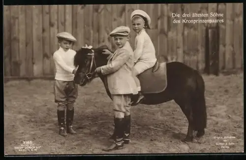 AK Die drei ältesten Söhne unseres Kronprinzenpaares, mit Pony