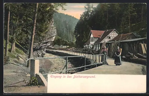 AK Tambach / Dietharz, Dietharzergrund, Eingang, Häuserpartie