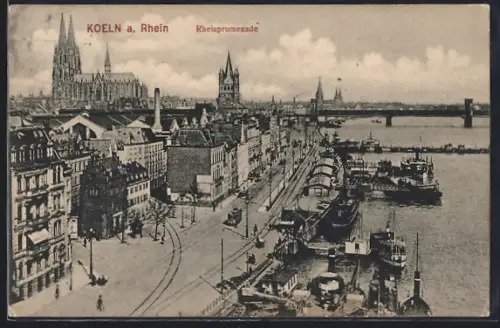 AK Köln, Die Rheinpromenade, Dom