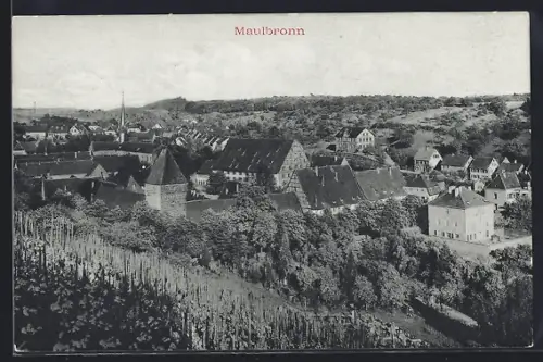 AK Maulbronn, Totalansicht