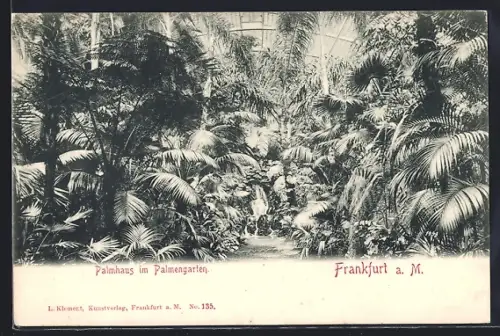 AK Frankfurt-Westend, Palmenhaus im Palmengarten