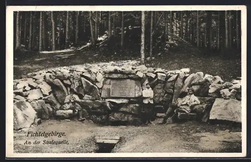 AK Zell /Fichtelgebirge, An der Saalequelle