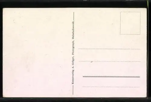 AK Albendorf, Ortsansicht mit Heuscheuergebirge