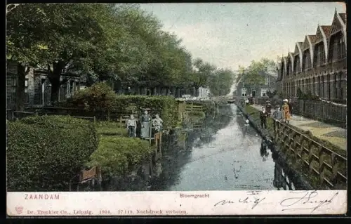 AK Zaandam, Bloemgracht, Blick die Gracht hinunter mit Häuserreihen am Ufer