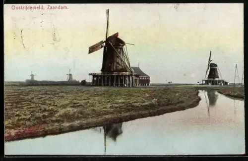 AK Zaandam, Oostzijderveld, Panorama mit Windmühlen