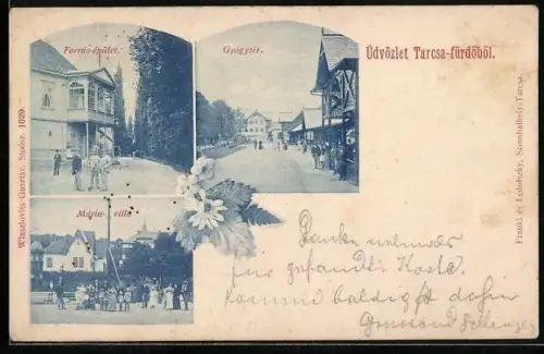 AK Tarcsa, Forrais-epület, Gyogyter, Maria villa
