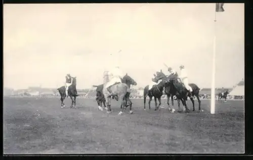 AK Ostende, Grand Tournoi International de Polo, Szene bei einem Polospiel