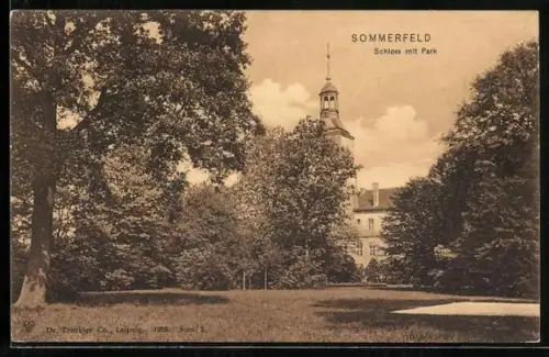 AK Sommerfeld / Lubsko, Schloss mit Park