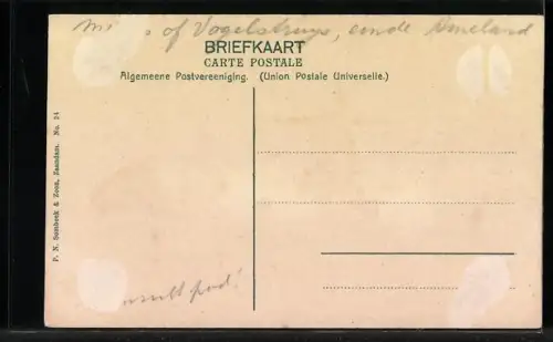 AK Zaandam, Schapen in`t land