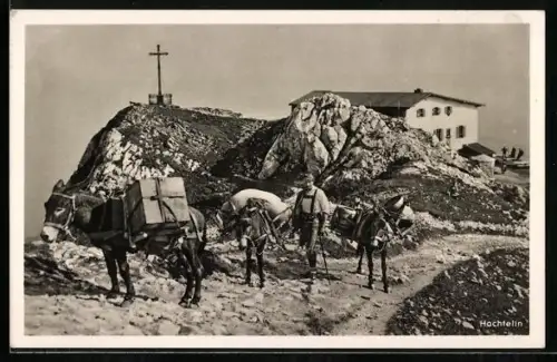 Foto-AK Hochfelln, Packesel am Gipfelkreuz