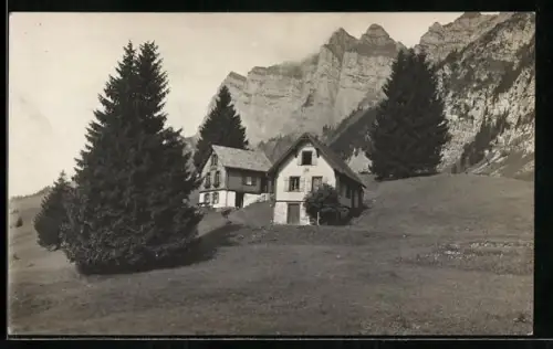 AK Walenstadt, Schrina-Hochruck, Berghütte inmitten von Tannen
