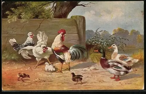Künstler-AK Alfred Schönian: Hahn und Hennen mit Küken schauen zu den Enten