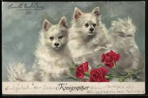 AK Weisse Königsspitze und rote Nelken