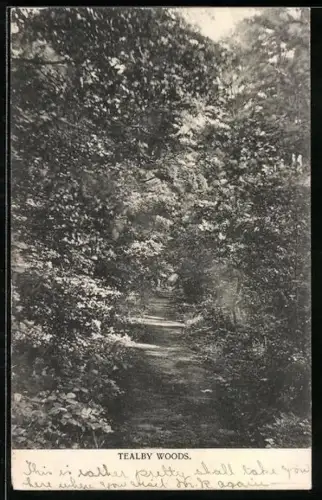 AK Tealby Woods, Panorama