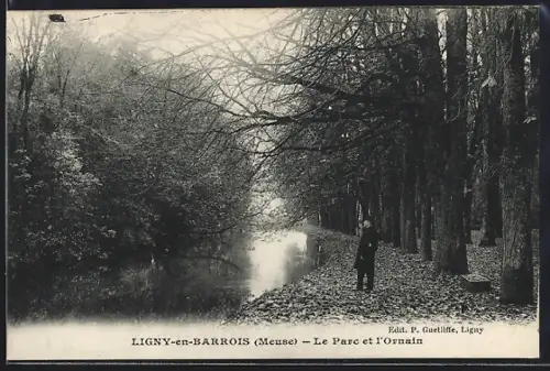 AK Ligny-en-Barrois, Le Parc et l`Ornain