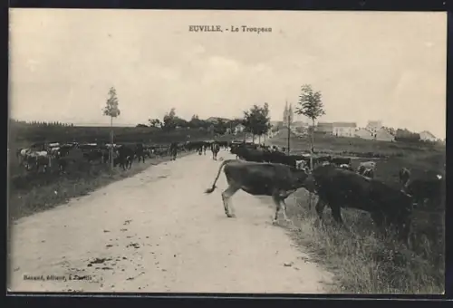 AK Euville, Le Troupeau