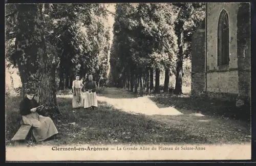 AK Clermont-en-Argonne, La Grande Allée du Plateau de Sainte-Anne