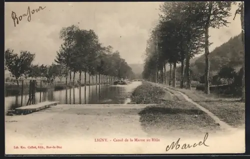 AK Ligny, Canal de la Marne au Rhin avec allée bordée d`arbres
