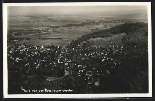 AK Thale, Panorama von der Rosstrappe gesehen