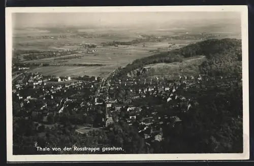 AK Thale, Blick von der Rosstrappe auf Stadt und Umgebung