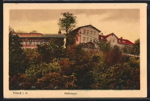 AK Thale i. H., Rosstrappe