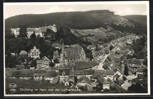 AK Stolberg im Harz, Blick von der Lutherbuche auf Stadt und Schloss