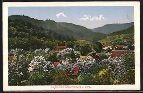 AK Stecklenberg a. Harz, Ortsansicht im Frühling
