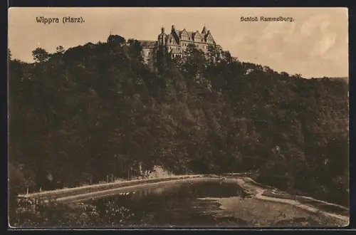 AK Wippra /Harz, Schloss Rammelburg