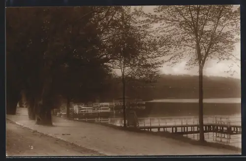AK Malente-Gremsmühlen, Dieksee, Uferpromenade, Steg, Bäume