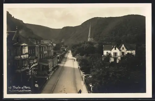 AK Thale a /Harz, Hubertusstrasse