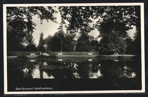 AK Bad Pyrmont, Goldfischteich